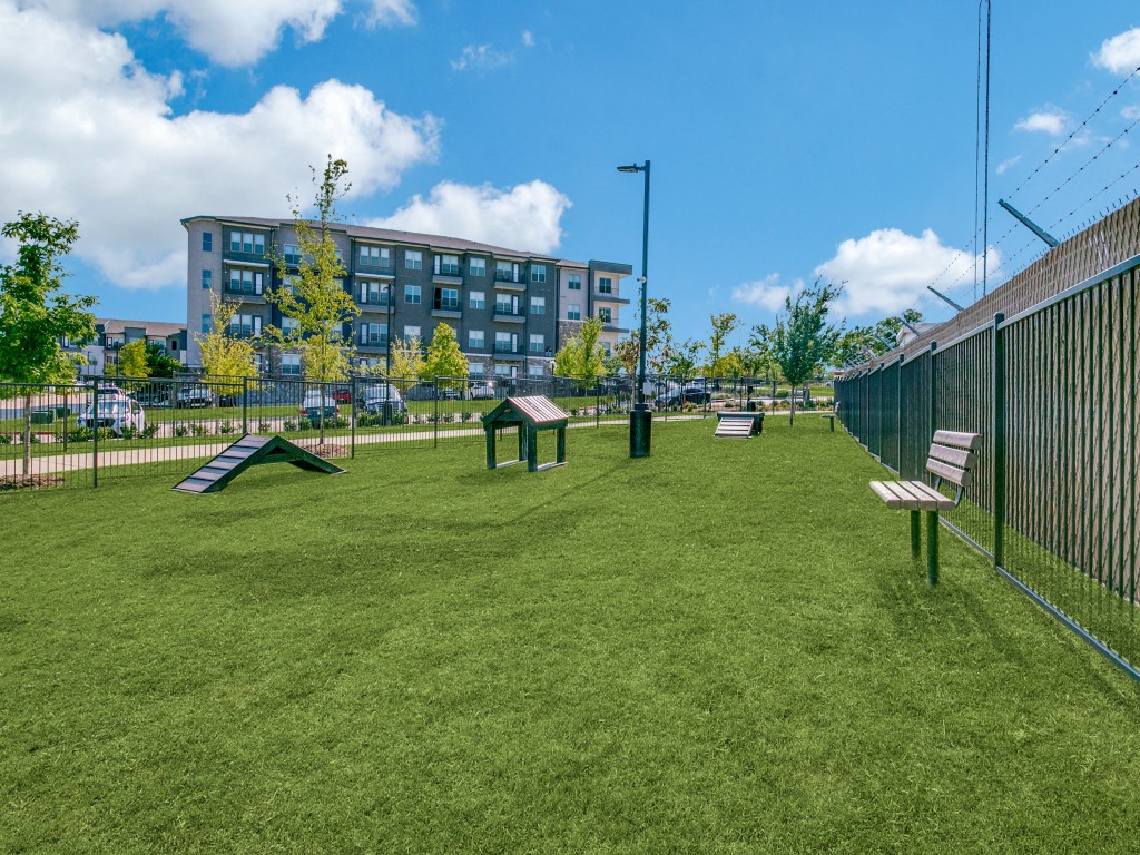 Expansive dog park with obstacle course